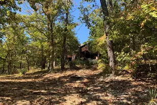 161 Gibson Creek Rd, Saint Clair, MO 63077 - Photo 57