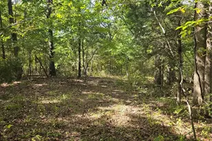 161 Gibson Creek Rd, Saint Clair, MO 63077 - Photo 97