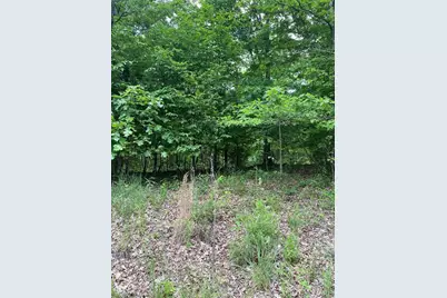 14 +/- Ac Steeple Rock Drive, Defiance, MO 63341 - Photo 5