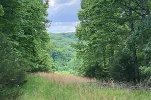 14 +/- Ac Steeple Rock Dr, Defiance, MO 63341 - Photo 1