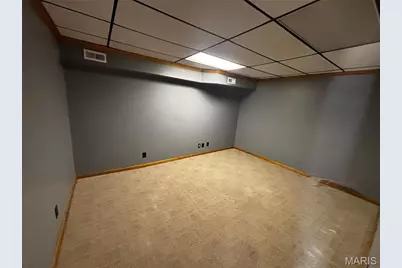 305 S Carolina Street, Louisiana, MO 63353 - Photo 15