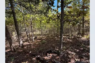 0 State Hwy P, Potosi, MO 63664 - Photo 23