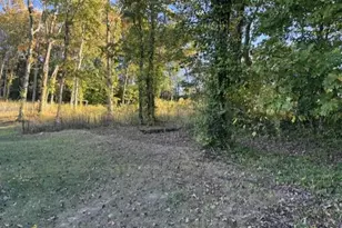 307 Vassel, Potosi, MO 63664 - Photo 27