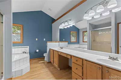 100 Silex Elevator Road, Silex, MO 63377 - Photo 15