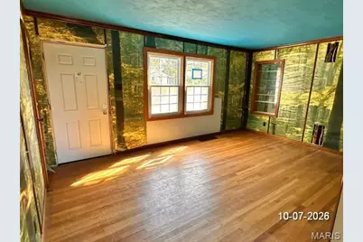9857 Lilac Drive, Riverview, MO 63137 - Photo 3