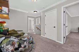 9036 Camino Trl, Saint Charles, MO 63304 - Photo 19