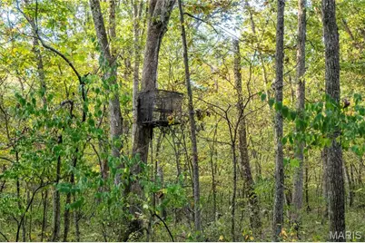 228 Logan Road, Silex, MO 63377 - Photo 59