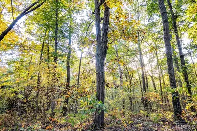 228 Logan Road, Silex, MO 63377 - Photo 57