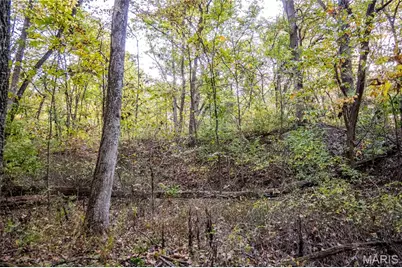228 Logan Road, Silex, MO 63377 - Photo 61