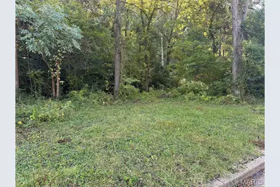 1004 Olive Street, New Haven, MO 63068 - Photo 1