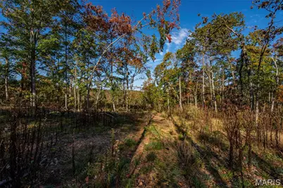 1 Mill Street, Potosi, MO 63664 - Photo 15