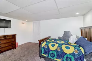 9 Percheron Pl, Saint Peters, MO 63376 - Photo 55