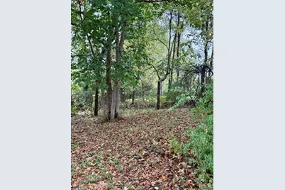 54022 Johnny Trail, Hannibal, MO 63401 - Photo 37
