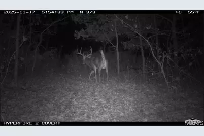 67 +/- Ac Circle Acres Drive, Marthasville, MO 63357 - Photo 27