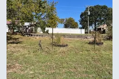 875 Rudolph Street, Bourbon, MO 65441 - Photo 3