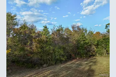 14655 State Route 21, De Soto, MO 63020 - Photo 59