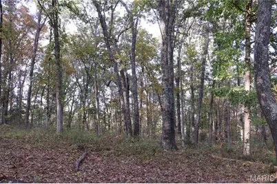 671 Country Acres Lane, Leasburg, MO 65535 - Photo 13