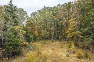 000 Rockwood Rd, Sullivan, MO 63080 - Photo 1