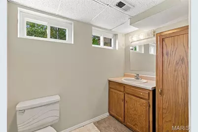 10304 Grant Forest Lane, Concord, MO 63123 - Photo 37