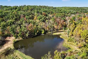 9270 Little Indian Creek Rd, Lonedell, MO 63060 - Photo 45