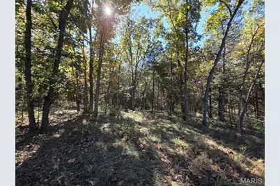 0 St. Patrick Avenue, Stanton, MO 63435 - Photo 21