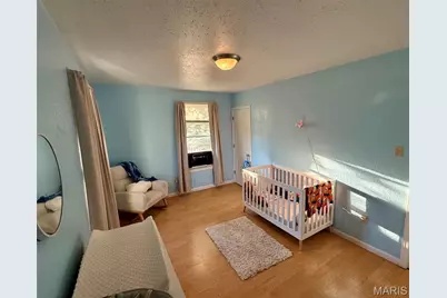 103 Frisco Street, Festus, MO 63028 - Photo 13