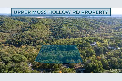 0 Upper Moss Hollow Road, Barnhart, MO 63012 - Photo 1