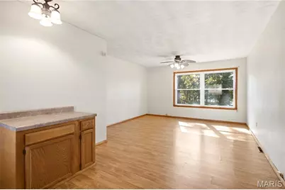 3832 Alta Drive, De Soto, MO 63020 - Photo 15