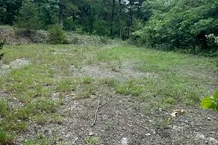 10168 Lake Ridge Dr, Hillsboro, MO 63050 - Photo 1