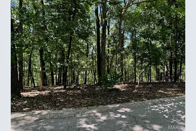 1561 Wolf Trail Road, Wildwood, MO 63021 - Photo 1