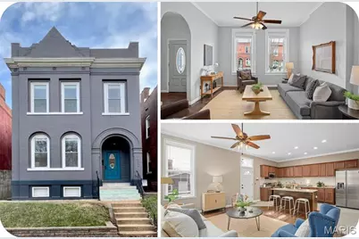 2632 Wyoming Street, Saint Louis, MO 63118 - Photo 1