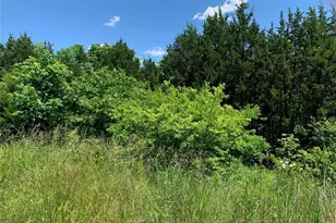 0 Old Route 21, Hillsboro, MO 63050 - Photo 1