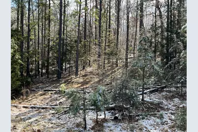 20548 State Hwy Aa, Potosi, MO 63664 - Photo 41