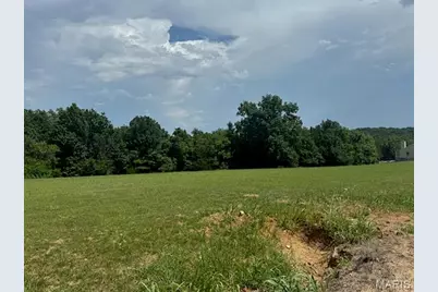 Lot 35 Morgan Lake Road, De Soto, MO 63020 - Photo 1