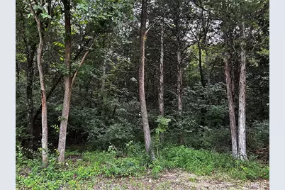 237 Incline Village (Red Cedar), Foristell, MO 63348 - Photo 1