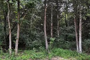 237 Incline Village (Red Cedar), Foristell, MO 63348 - Photo 1