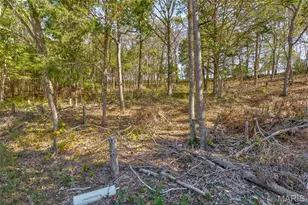9632 Moonshine Dr, Hillsboro, MO 63050 - Photo 1