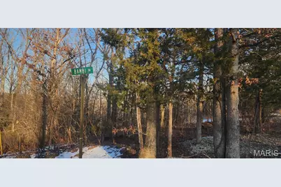 5917 Twin Fawn Ridge, Hillsboro, MO 63050 - Photo 1