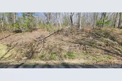 1884 N Lake Sherwood Drive, Marthasville, MO 63357 - Photo 1