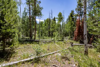 Lot 69A, Unita Shadows, Kamas, UT 84036 - Photo 1