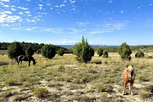 403 &amp 409 N Mineral Springs Rd, Mount Carmel, UT 84758 - Photo 3