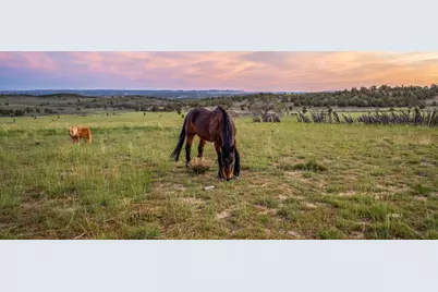 403 &amp; 409 N Mineral Springs Rd, Mount Carmel, UT 84758 - Photo 5