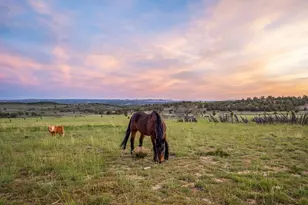 403 &amp 409 N Mineral Springs Rd, Mount Carmel, UT 84758 - Photo 5