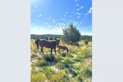 403 &amp; 409 N Mineral Springs Rd, Mount Carmel, UT 84758 - Photo 49