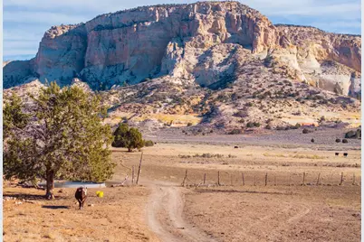 Johnson Canyon, Kanab, UT 84741 - Photo 5