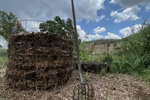 1460 E Coral Pink Cliffs Rd, Glendale, UT 84729 - Photo 41