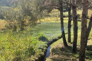 1460 E Coral Pink Cliffs Rd, Glendale, UT 84729 - Photo 11