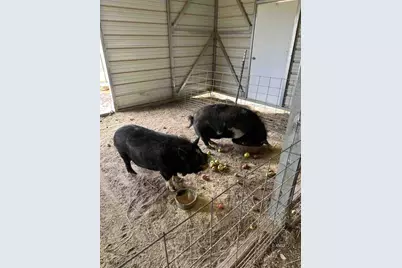 1460 E Coral Pink Cliffs Rd, Glendale, UT 84729 - Photo 23