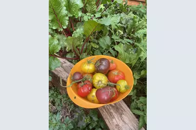 1460 E Coral Pink Cliffs Rd, Glendale, UT 84729 - Photo 9