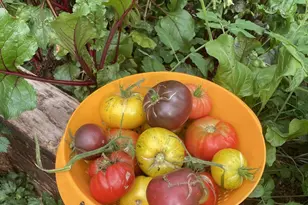 1460 E Coral Pink Cliffs Rd, Glendale, UT 84729 - Photo 9